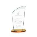 Tomkins Award - Amber