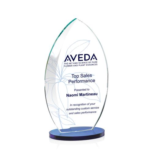 Recognition Awards - Full Color Awards - Windermere VividPrint™ Award - Blue