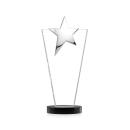Mantella Chrome Star Award - Black Alt Image 1