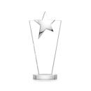 Mantella Chrome Star VividPrint&trade; Award - Clear Alt Image 1