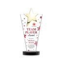 Mantella Gold Star VividPrint&trade; Award - Black