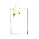 Denham Star VividPrint&trade; Award - Gold Alt Image 1