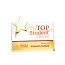 Denham Star VividPrint&trade; Award - Gold