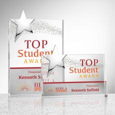 Denham Star VividPrint Award - Silver - Recognition Awards