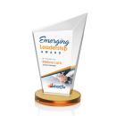 Wiltshire VividPrint&trade; Award - Amber