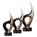 Pittoni Award Alt Image 1