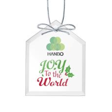 Starfire Ornament - House VividPrint - Ornaments
