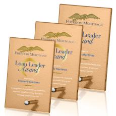 Atchison Russet Rectangle VividPrint Award - Silver - Metal & Glass Awards