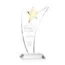 Atkinson Gold Star Award