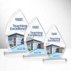 Ayrton VividPrint Award - New Items