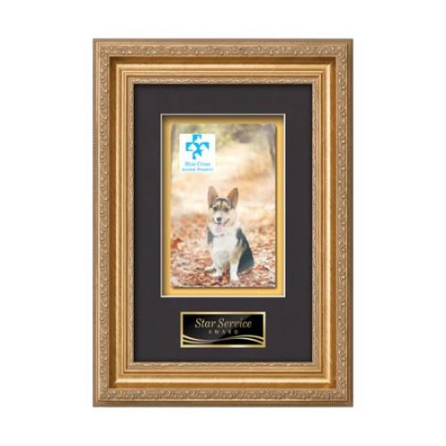 Plaque Awards - Framed Awards & Plaques - Regal - Gold