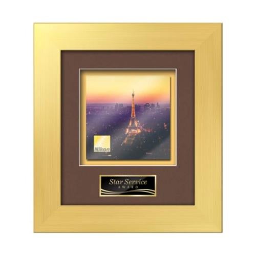 Plaque Awards - Framed Awards & Plaques - Premier -  Gold