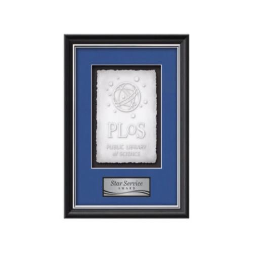 Plaque Awards - Framed Awards & Plaques - Baron Cast Paper-  Black/Silver