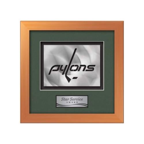 Eldridge Aquashape™ Award - Bronze Plaque Awards - Framed Awards & Plaques - Eldridge Aquashape™ Award - Bronze
