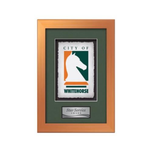 Plaque Awards - Framed Awards & Plaques - Eldridge -  Bronze
