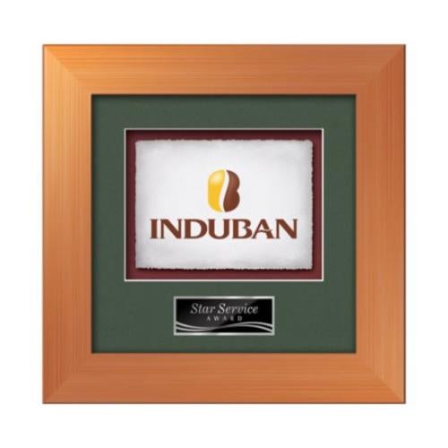 Premier - Bronze Plaque Awards - Framed Awards & Plaques - Premier - Bronze