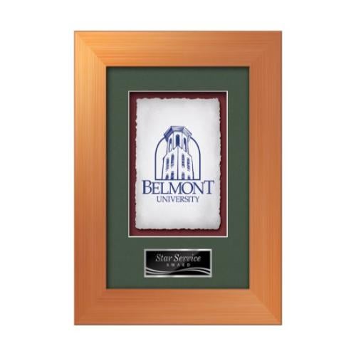 Plaque Awards - Framed Awards & Plaques - Premier -  Bronze