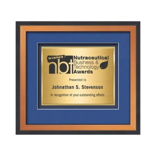 Plaque Awards - Certificate Frames - Jasper Certificate TexEtch - Bronze