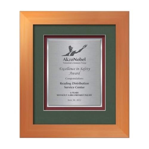 Plaque Awards - Framed Awards & Plaques - Premier Certificate TexEtch - Bronze