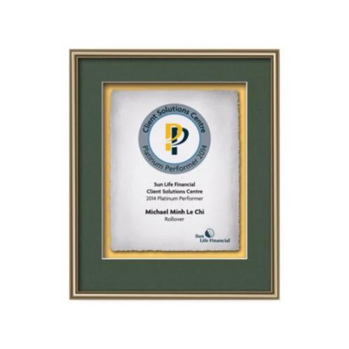 Plaque Awards - Framed Awards & Plaques - Fenestra -  Gold