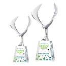 Maverick Eagle VividPrint&trade; Award on Celestina Base - Clear