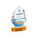 Norwood VividPrint&trade; Award on Alberton Base - Amber