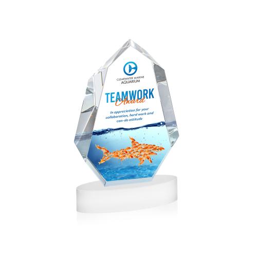 Recognition Awards - Crystal Awards - Norwood VividPrint&trade; Award on Alberton Base - White