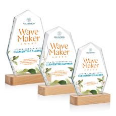 Andale VividPrint Award - Crystal Awards