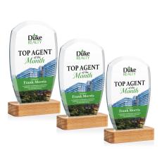 Bayshore VividPrint Award - New Items