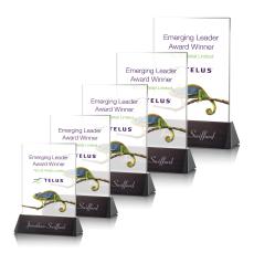 Sierra Rectangle VividPrint Award - Full Color Awards