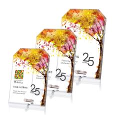 Cantebury Clipped Rectangle  VividPrintAward - Metal & Crystal Awards