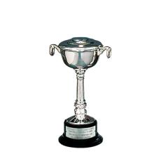 Silver-Plated Pedestal Bowl Cup - Metal Awards