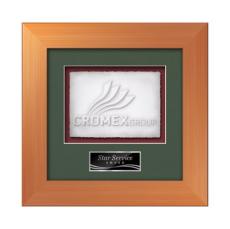 Premier -  Bronze - Framed Awards & Plaques
