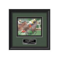 Raven - Black - Framed Awards & Plaques