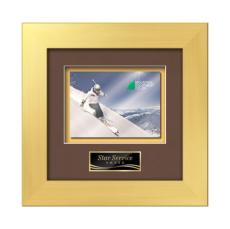 Premier -  Gold - Framed Awards & Plaques