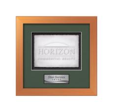 Eldridge -  Bronze - Framed Awards & Plaques