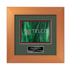 Premier -  Bronze - Framed Awards & Plaques