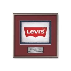 Fenestra -  Bronze - Framed Awards & Plaques