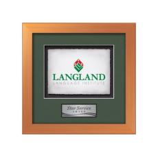 Eldridge -  Bronze - Framed Awards & Plaques