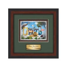 Jasper -  Dark Walnut - Framed Awards & Plaques