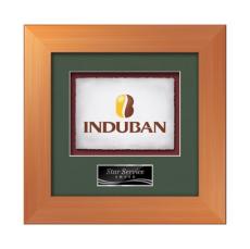 Premier -  Bronze - Framed Awards & Plaques