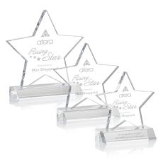 Acrylic Award - Nelson Star Award