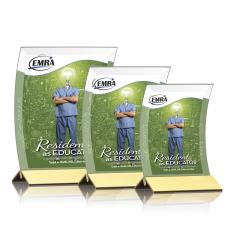 Dominga VividPrint Award - Gold - Metal Awards