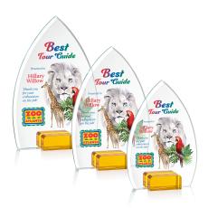 Aylin VividPrint Award - Amber - Crystal Awards