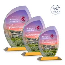 Wichita VividPrint Award - Amber - Crystal Awards