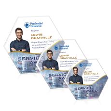 Polaris Hexagon VividPrint Award - Silver - Octagon Awards