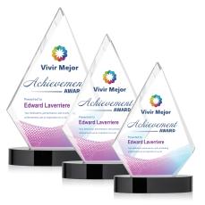 Sarasota VividPrint Award - Black - Crystal Awards