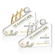 Synergy VividPrint Award - Metal Awards