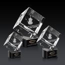 Burrill 3D Award on Paragon Base - Black