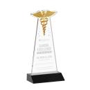 Caduceus Award - Black